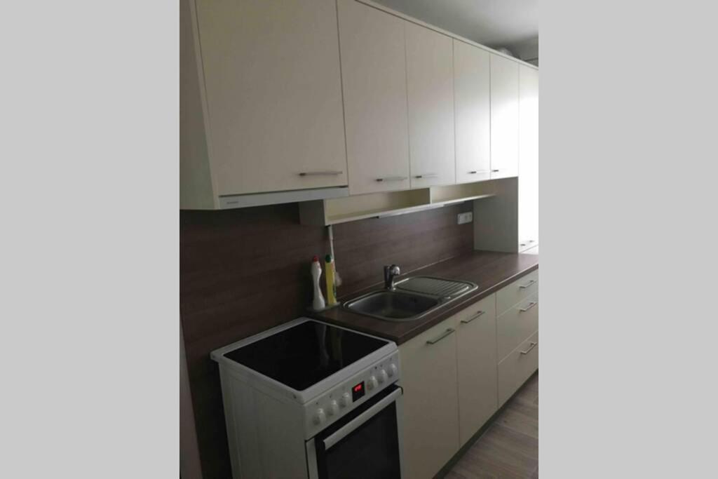 Family Apartment With Garden And Parking Spot تشيسكي بوديوفيتسه المظهر الخارجي الصورة